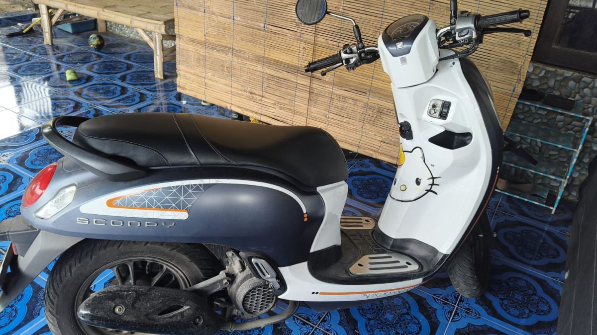 Scoopy