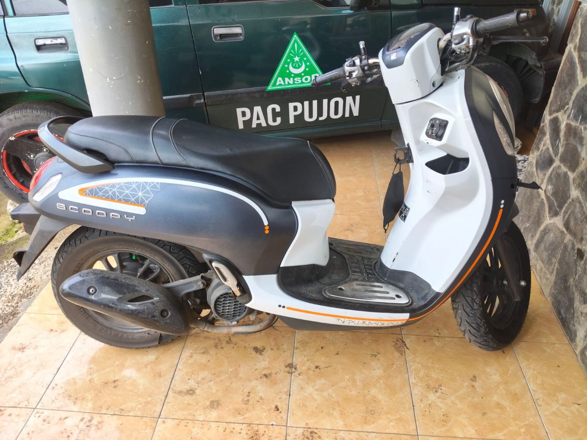 Scoopy